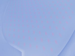 业务创新